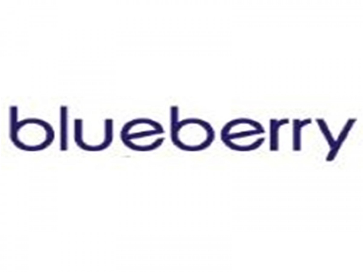 Blueberry